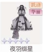 夜羽缀星